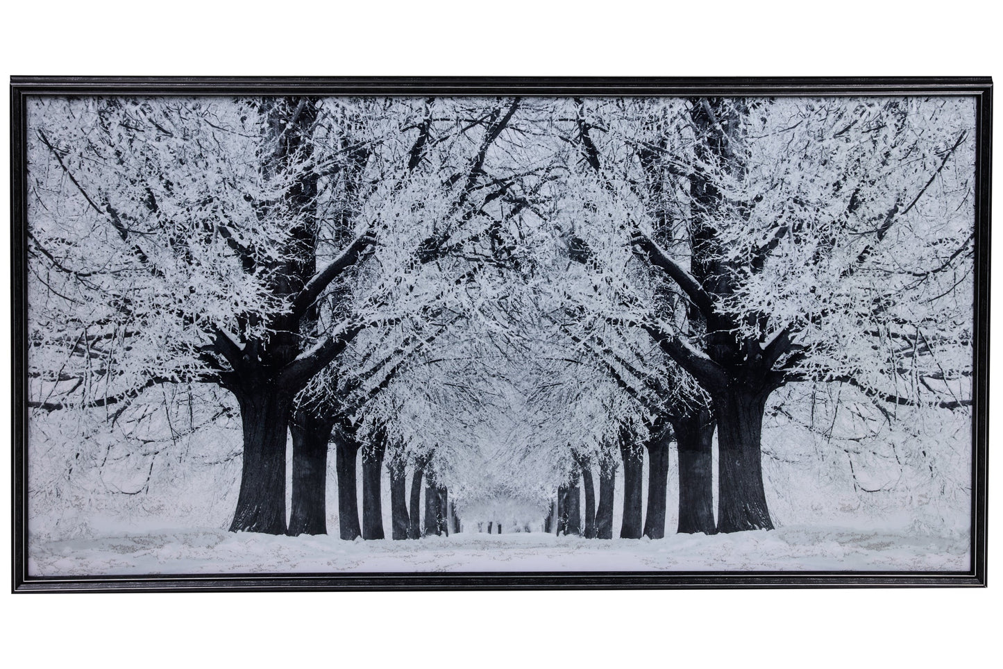 Galleria - Quadro Viale Alberoto