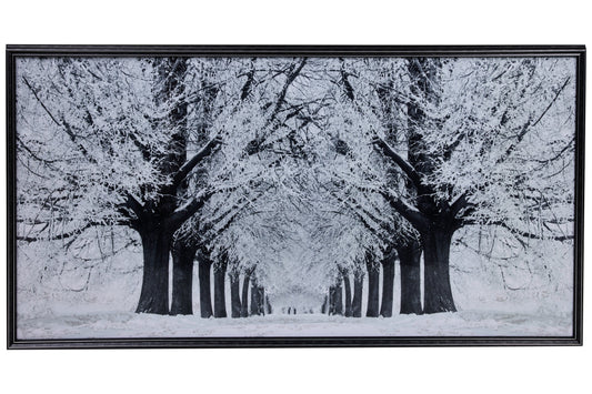 Galleria - Quadro Viale Alberoto