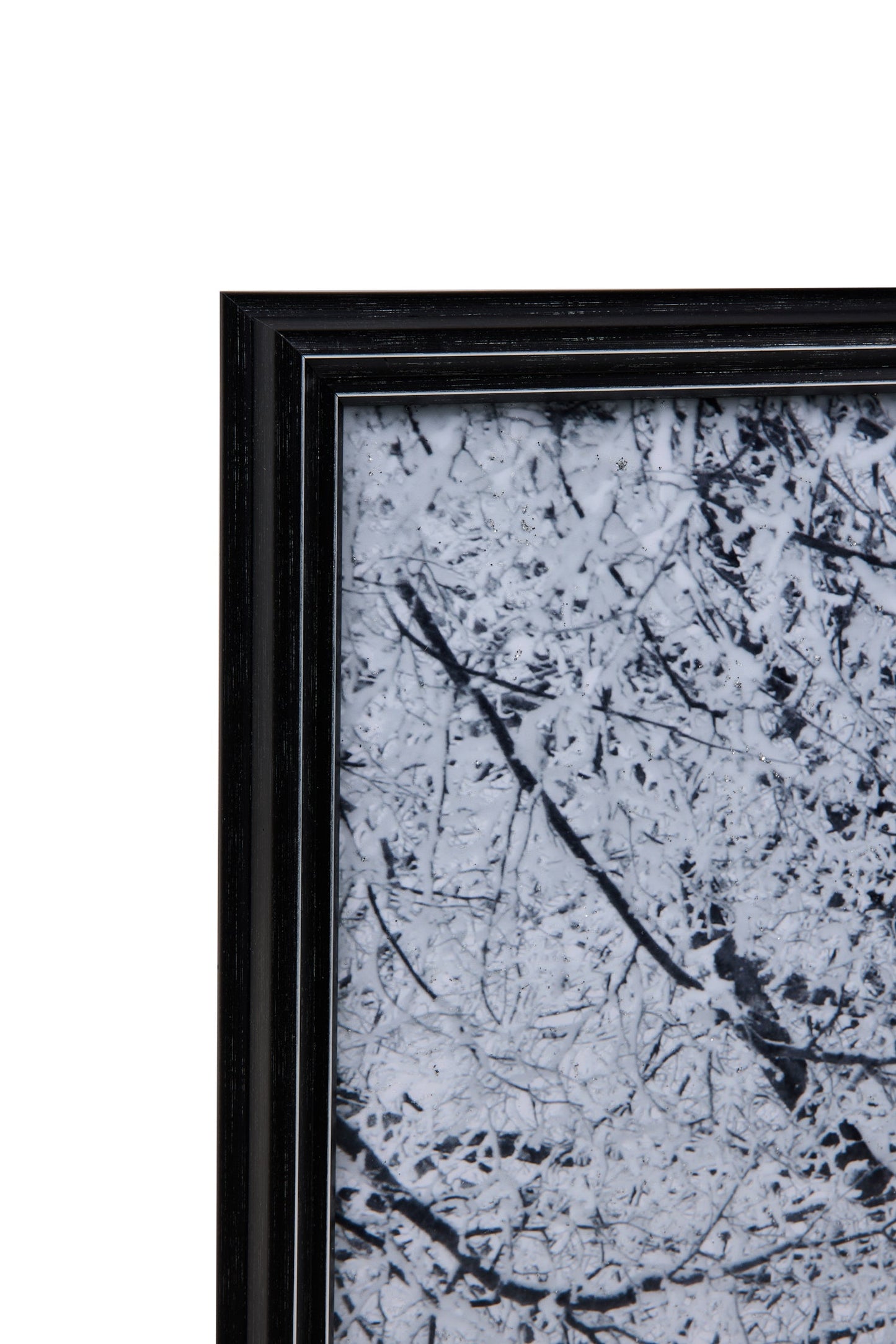 Galleria - Quadro Viale Alberoto