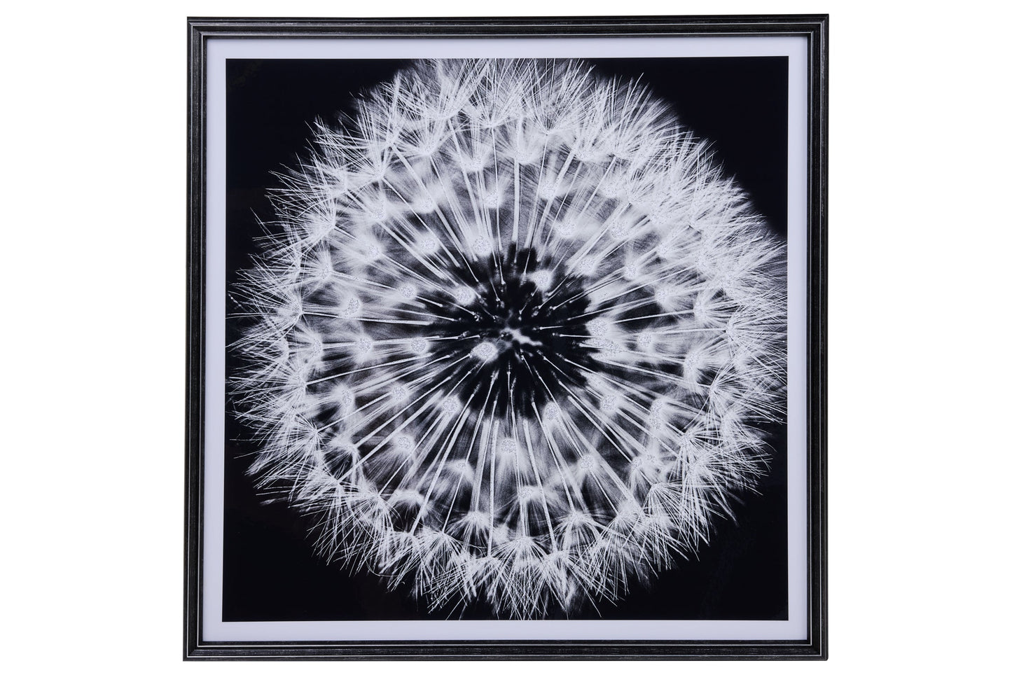 Galleria - Stampa Soffione Bianco E Nero