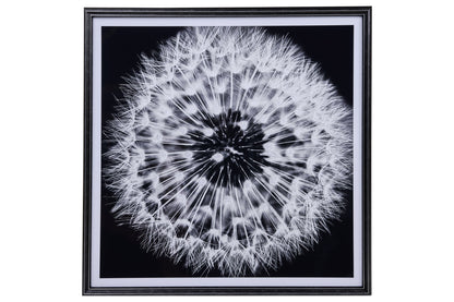 Galleria - Stampa Soffione Bianco E Nero