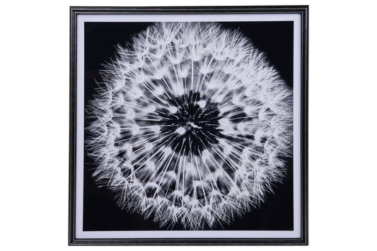 Galleria - Stampa Soffione Bianco E Nero