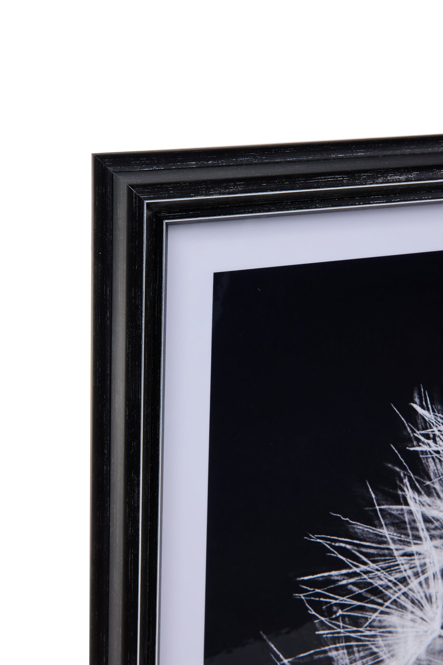 Galleria - Stampa Soffione Bianco E Nero