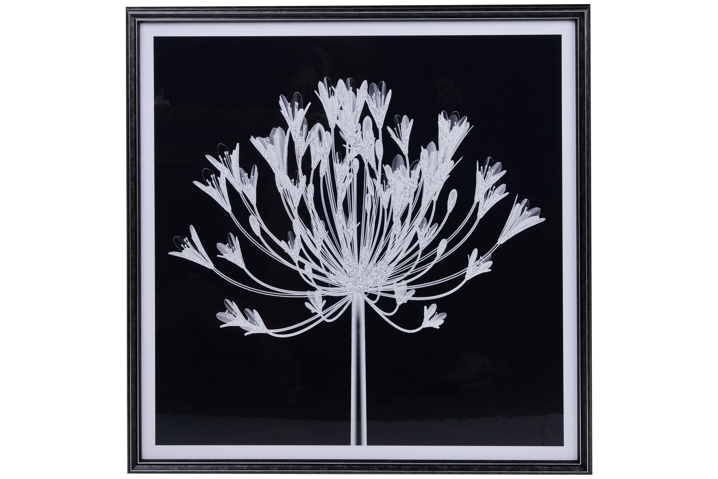 Galleria - Stampa Fiore In Bianco E Nero