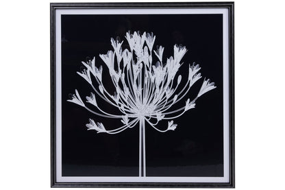 Galleria - Stampa Fiore In Bianco E Nero