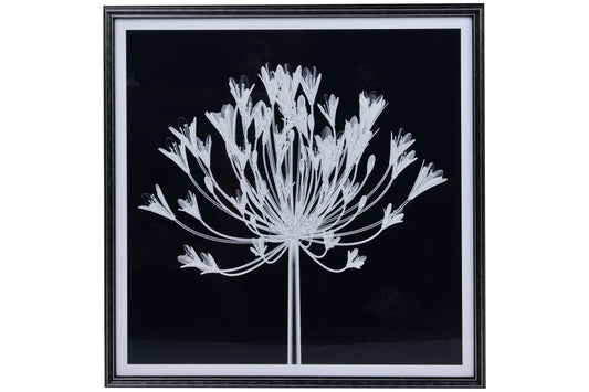 Galleria - Stampa Fiore In Bianco E Nero