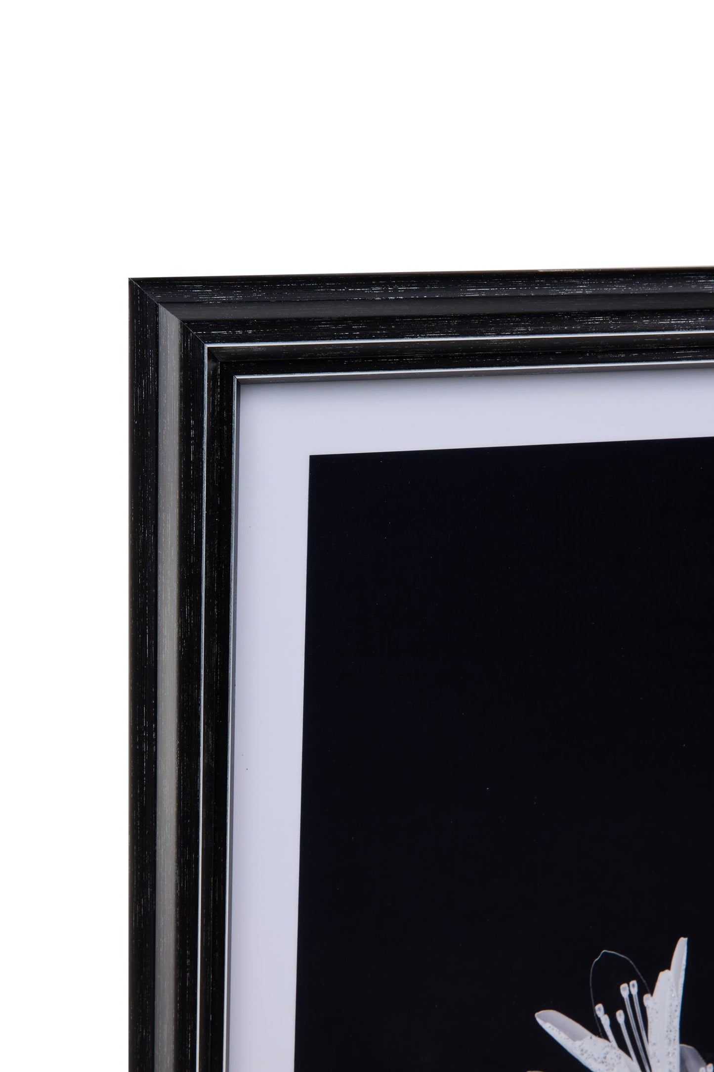 Galleria - Stampa Fiore In Bianco E Nero