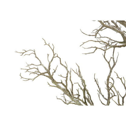 96 Ramoscello di legno morto