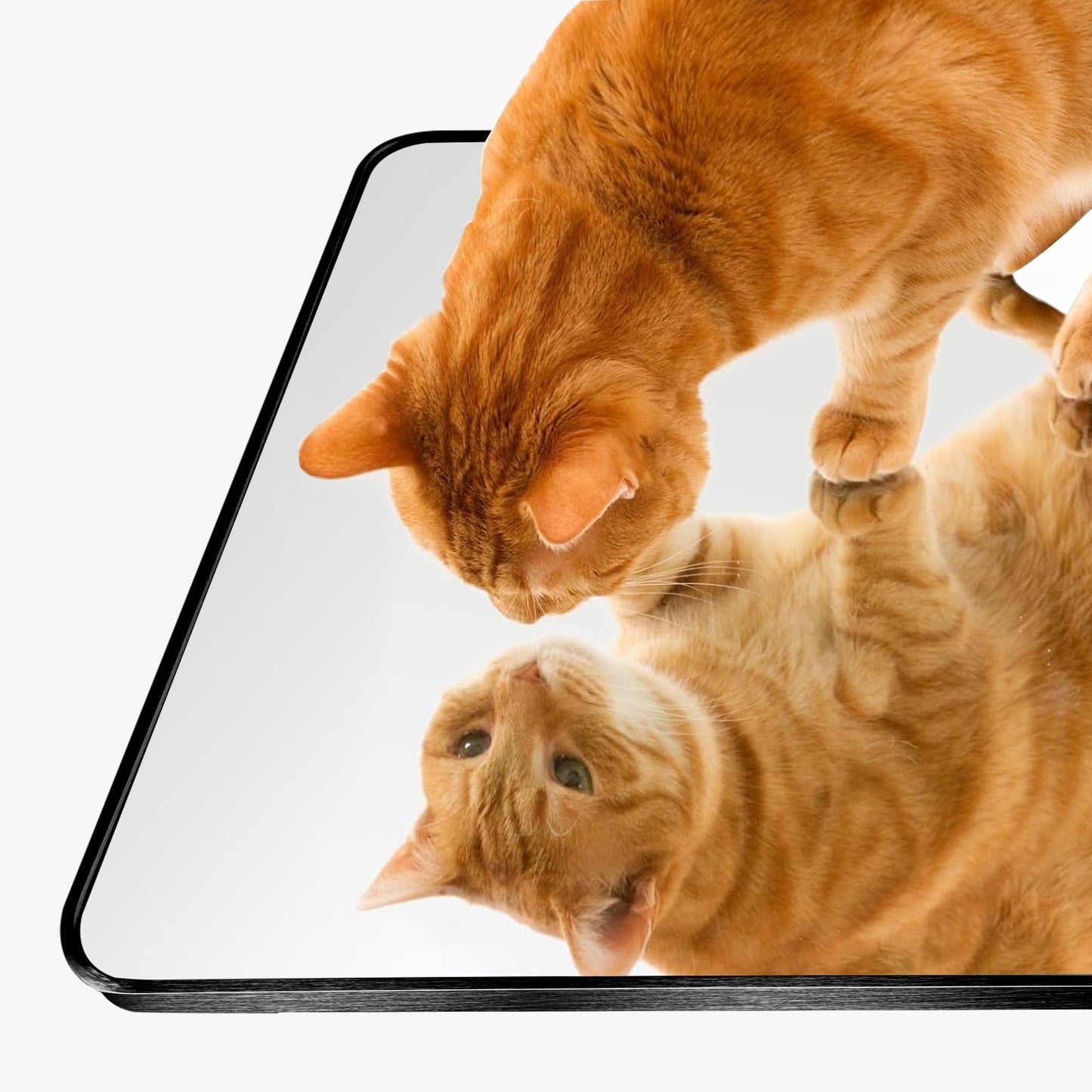 Specchio da terra moderno a figura intera, specchio indipendente