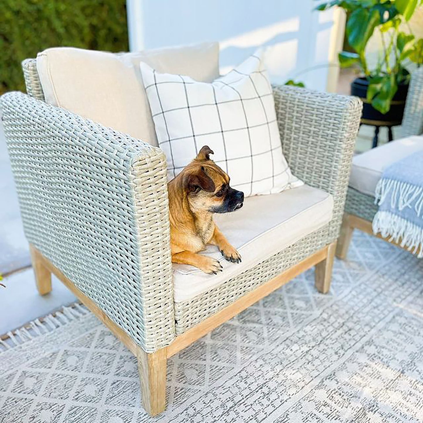 MAISON ARTS Set di divani componibili da esterno in rattan e legno di acacia da 5 pezzi, set da conversazione in vimini da patio con tavolino da caffè