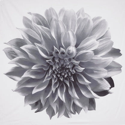 Tenda da doccia in cotone con stampa floreale Madison Park Quinn