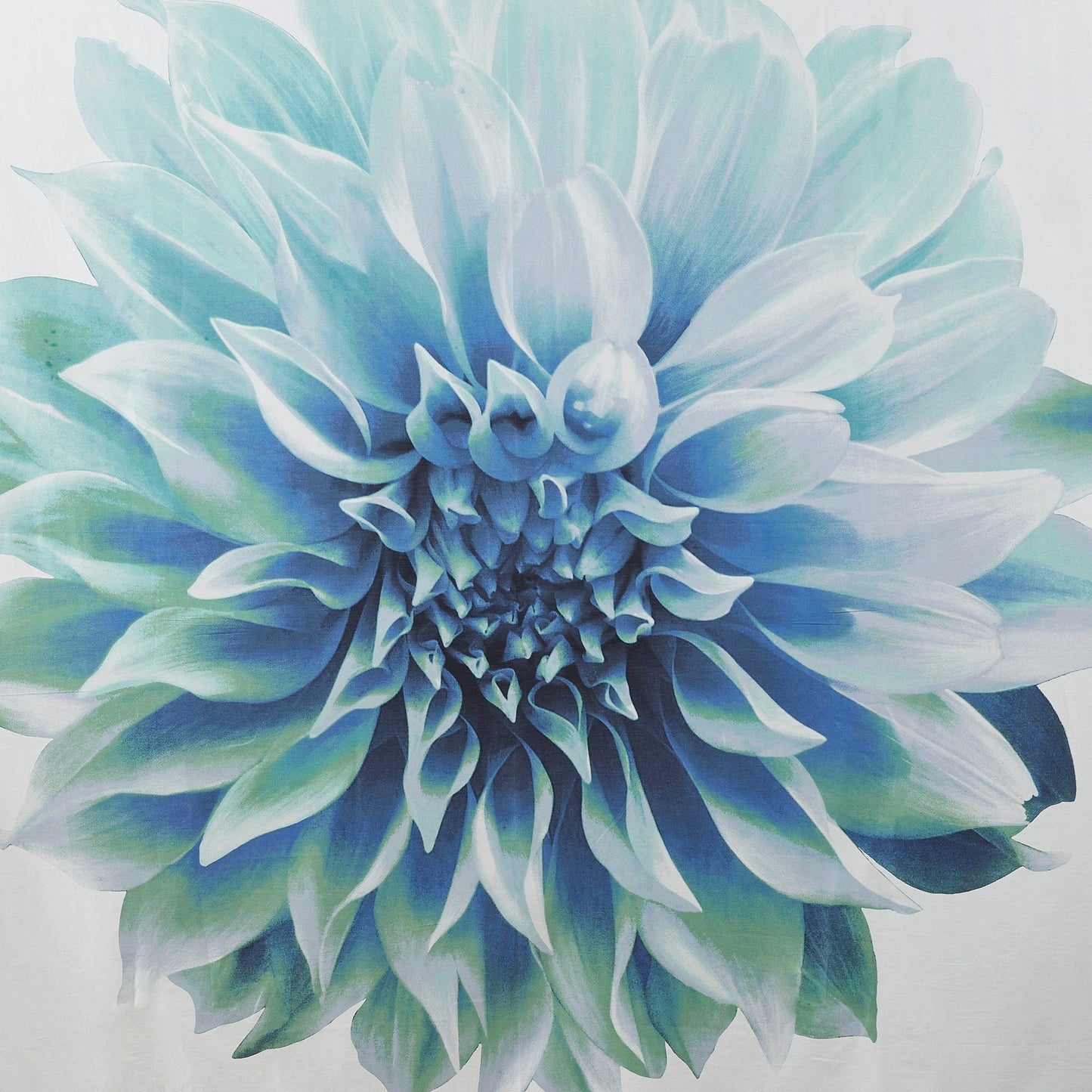 Tenda da doccia in cotone con stampa floreale Madison Park Quinn