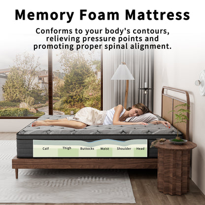 Materasso ibrido Modland da 14 pollici con materasso Euro Top medio, materasso a molle insacchettate in una scatola