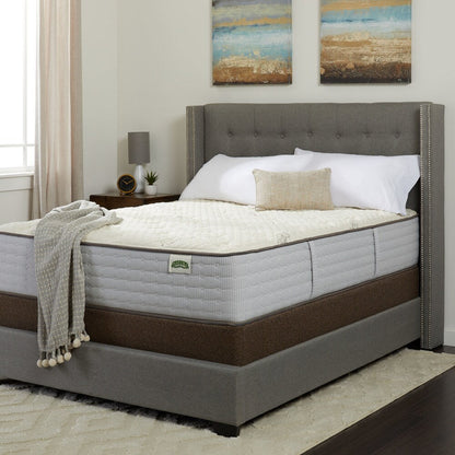 Set di materassi in lattice morbido Natura Currant da 13 pollici