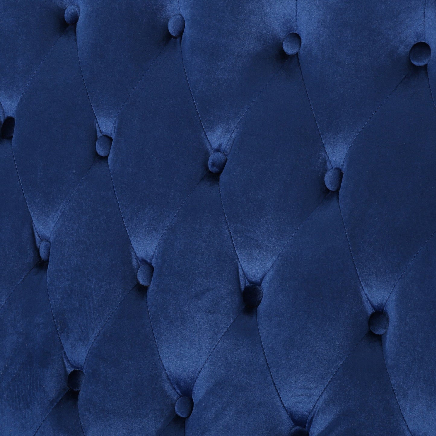 Divano a due posti con schienale alto e gambe in legno, imbottito in velluto blu navy da 50,25 pollici, per soggiorno