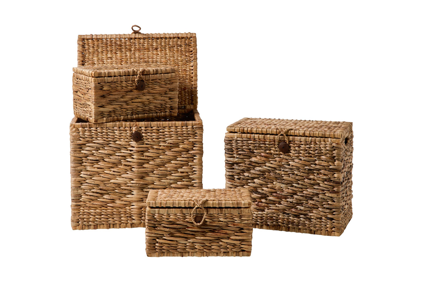 Rush Weaves - Ceste Baule Set 1/4