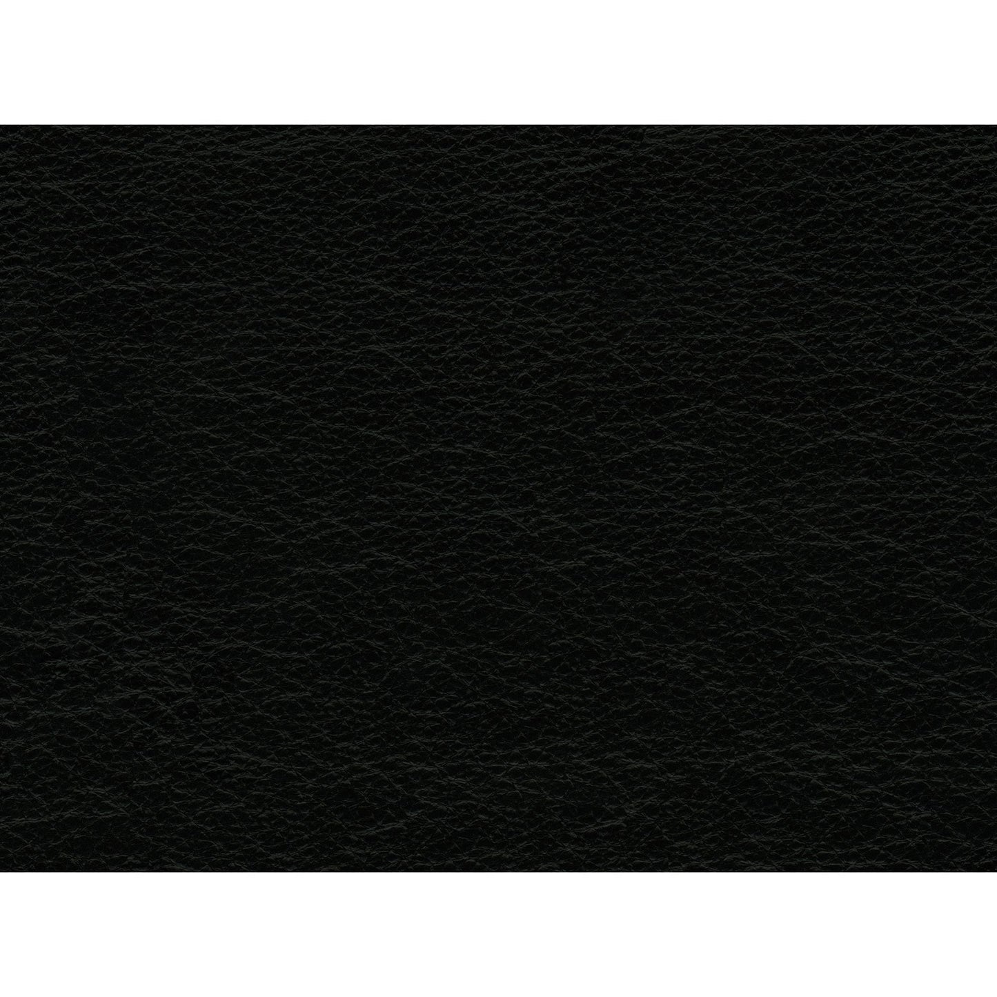 Divano in pelle Hanson di Picket House Furnishings in nero