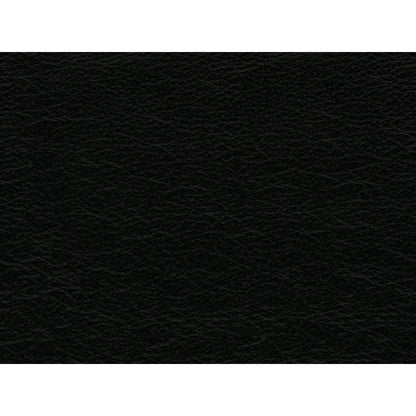 Divano in pelle Hanson di Picket House Furnishings in nero