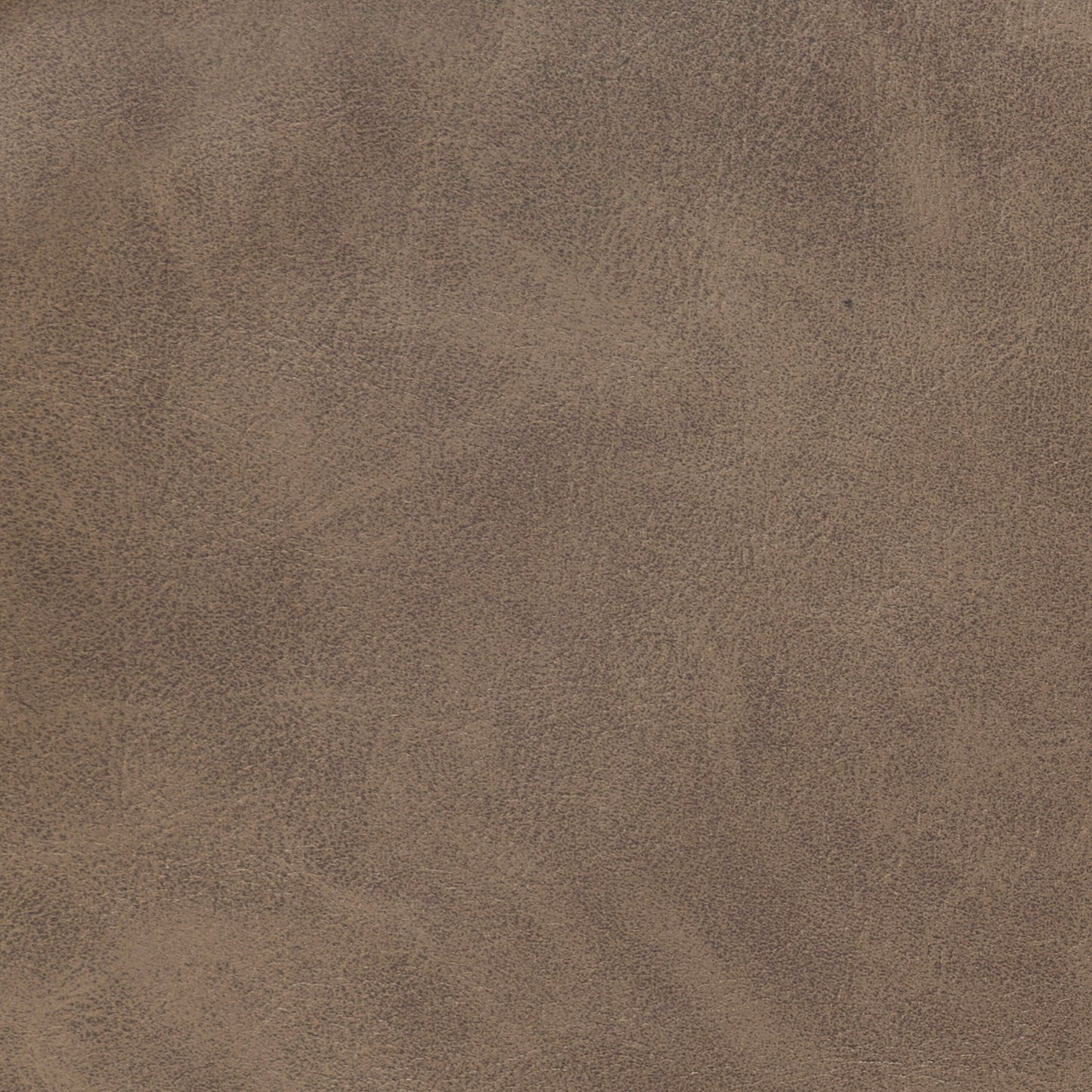 Divano Pola, 95 pollici, 2 cuscini, moderno poliestere marrone neutro