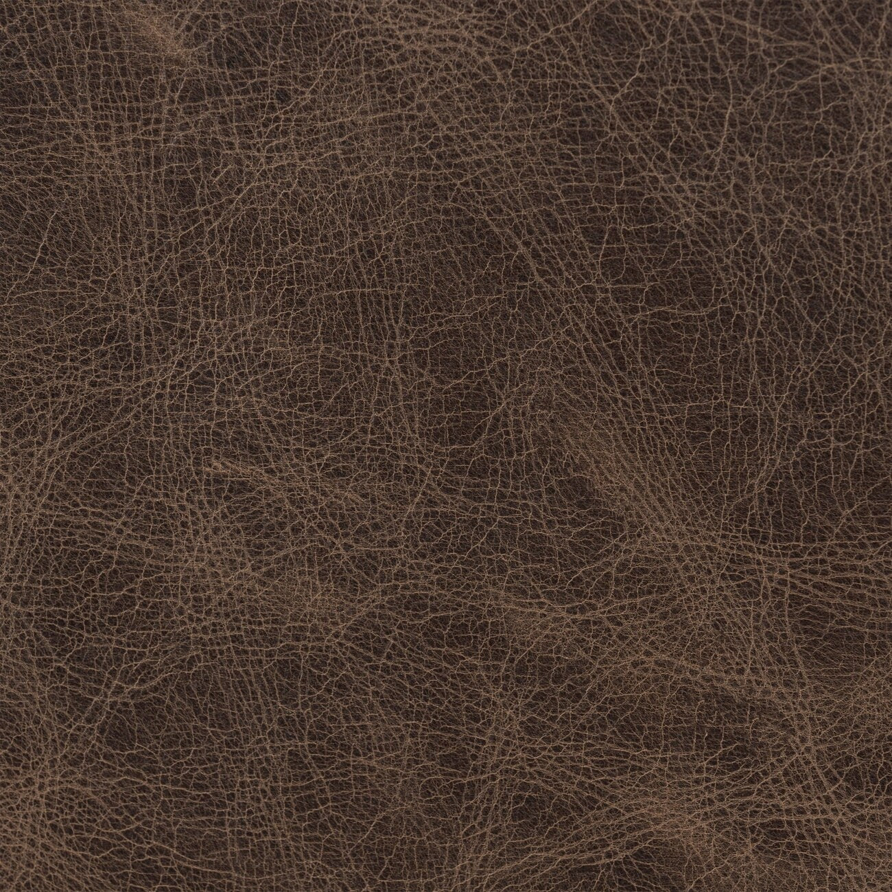 Divano letto trasformabile in vera pelle Poly &amp; Bark Essex 86