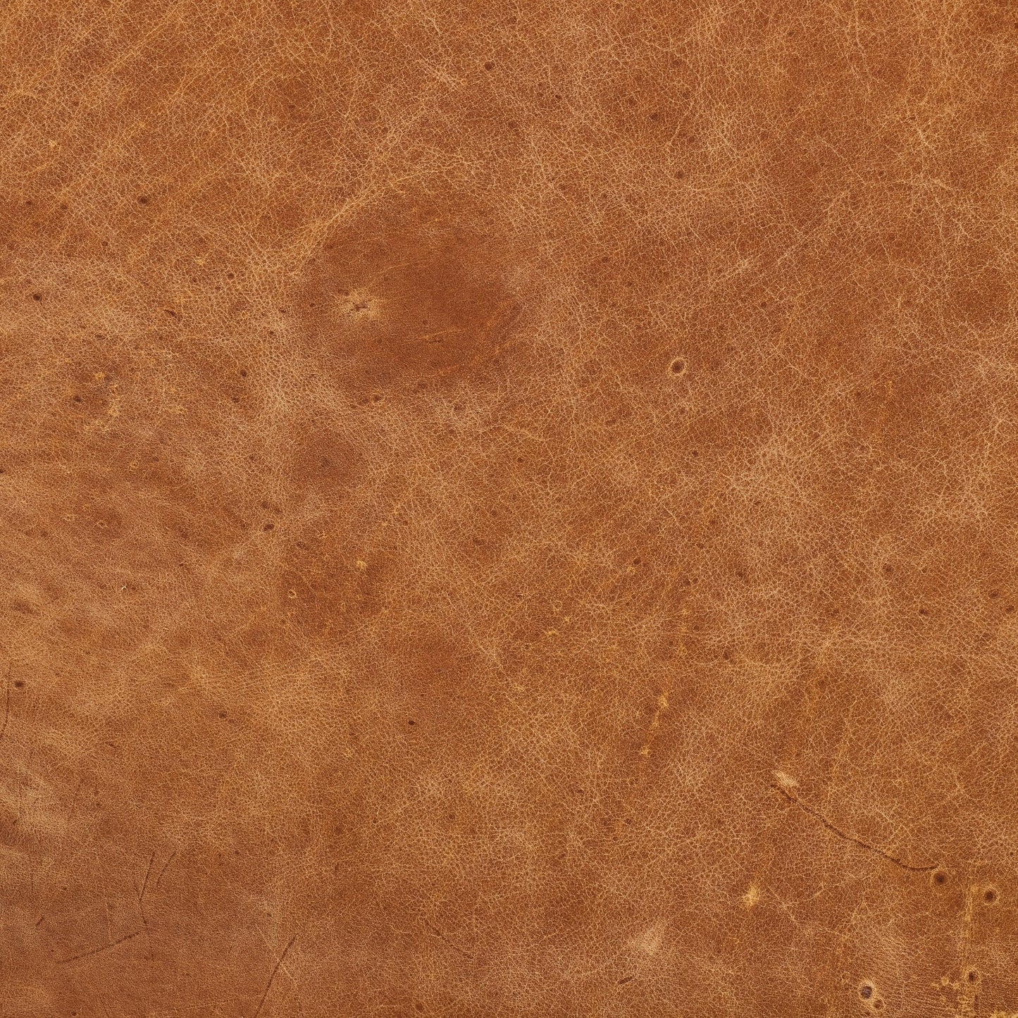 Divano Canale Poly &amp; Bark - Vera pelle italiana pieno fiore