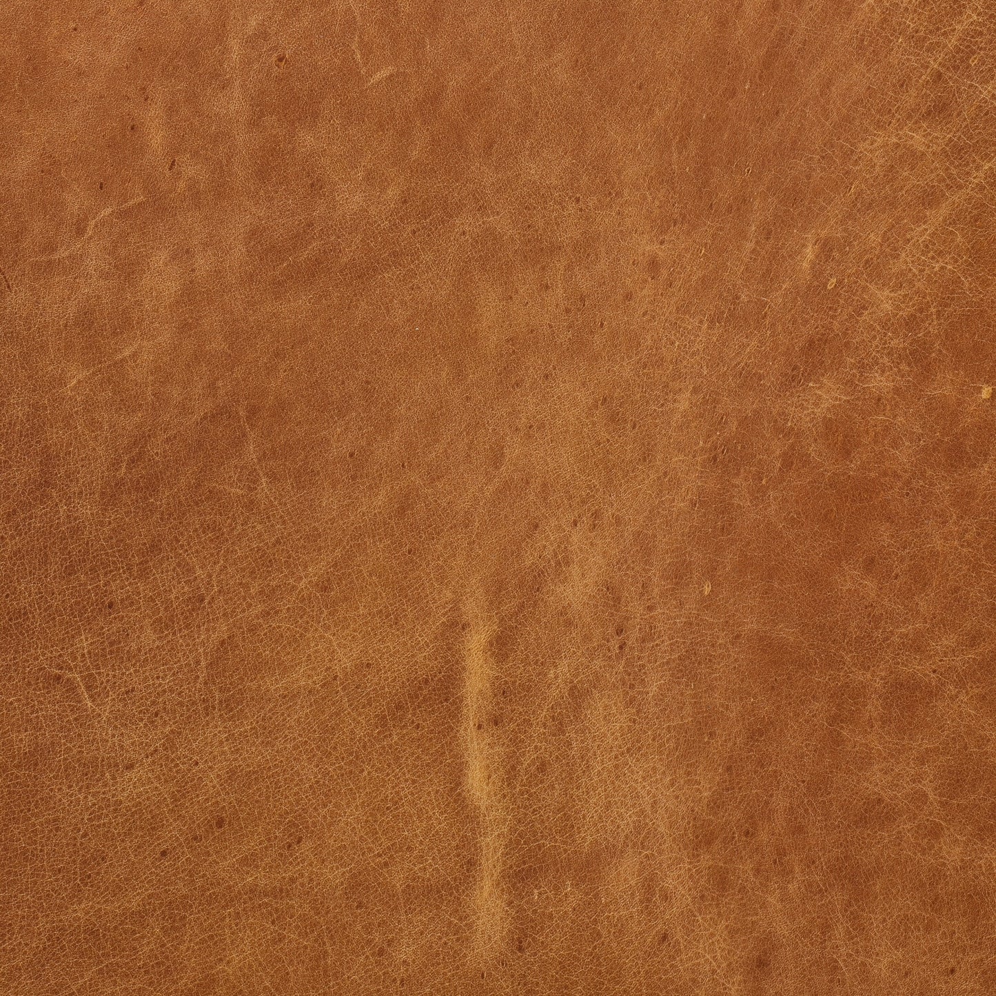 Divano Canale Poly &amp; Bark - Vera pelle italiana pieno fiore