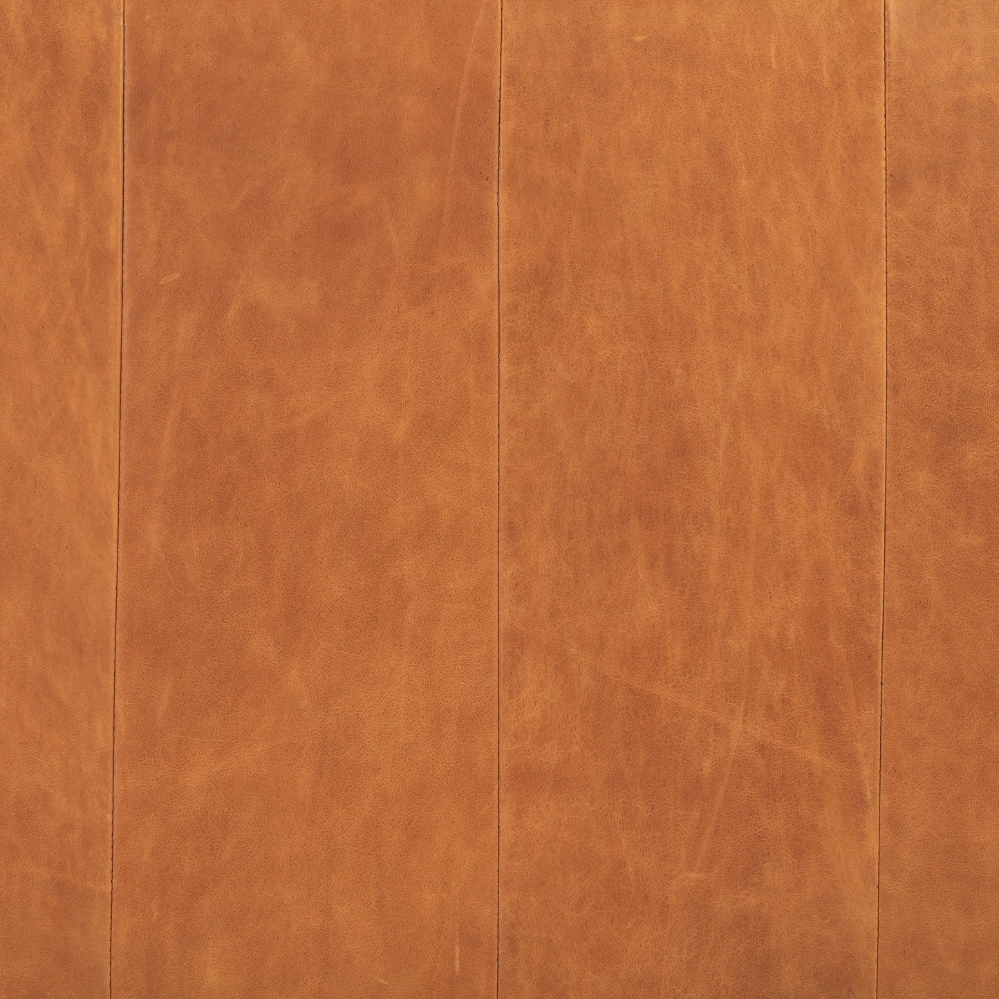 Divano letto Jasper in Poly &amp; Bark - Vera pelle italiana pieno fiore