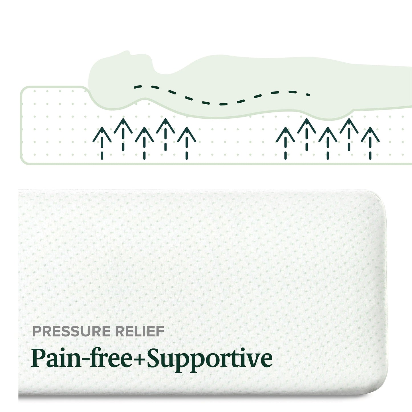 Materasso in memory foam al tè verde Priage by ZINUS da 12 pollici