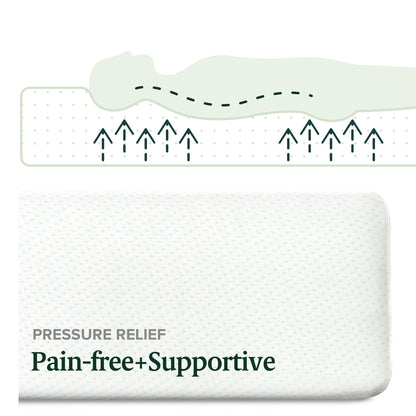 Materasso in memory foam al tè verde Priage by ZINUS da 12 pollici