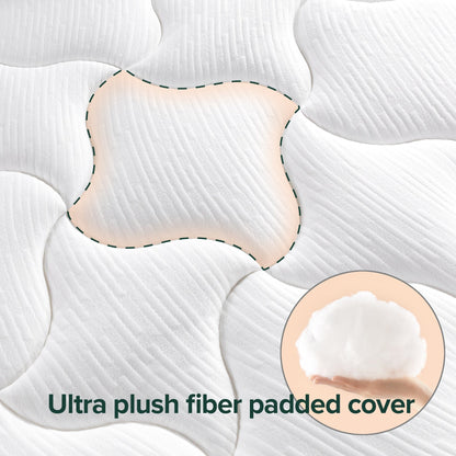 Materasso in memory foam Priage by ZINUS da 8 pollici