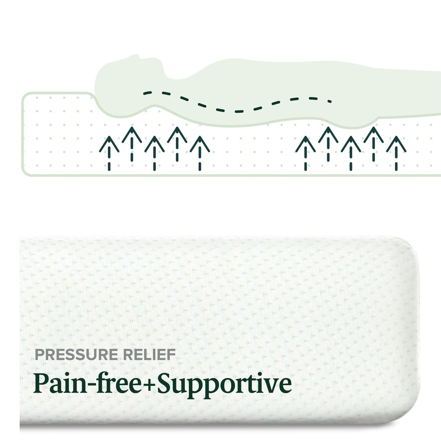 Materasso in memory foam al tè verde Priage by ZINUS da 8 pollici