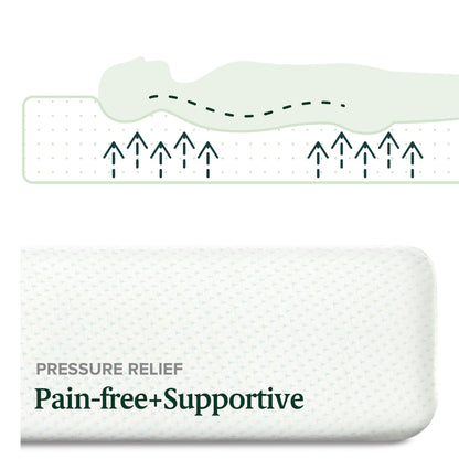 Materasso in memory foam al tè verde Priage by ZINUS da 8 pollici