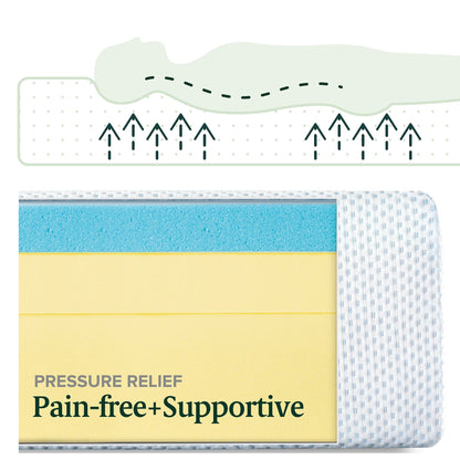 Materasso in memory foam al tè verde Priage by Zinus da 12 pollici