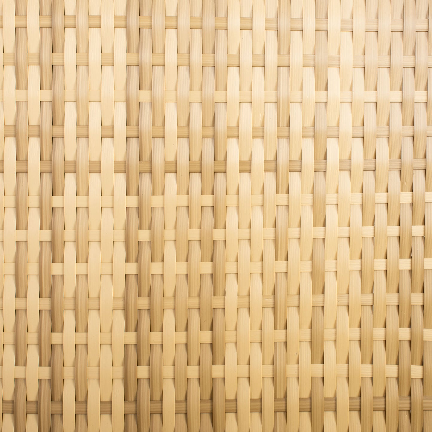 Set da patio in vimini SAFAVIEH per esterni Natalee, 4 pezzi - 50L x 27P x 28A