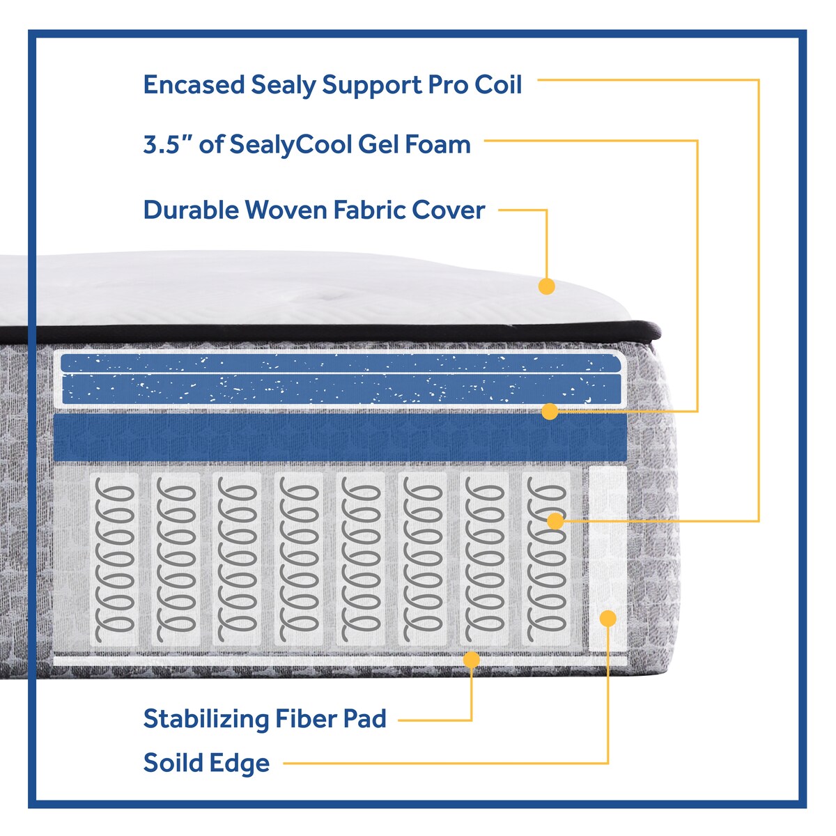 Materasso a molle insacchettate Sealy da 10 pollici in una scatola