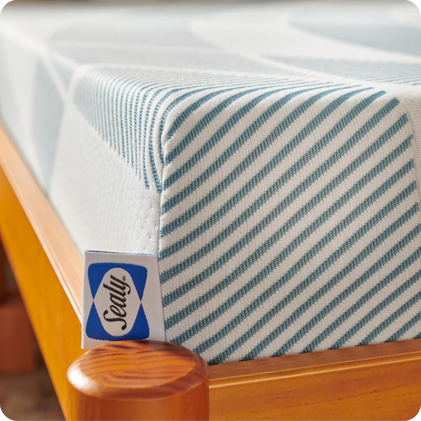 Materasso in schiuma Sealy Dreamlife 8 in scatola