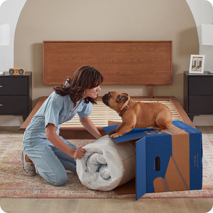 Materasso in schiuma Sealy Dreamlife 8 in scatola