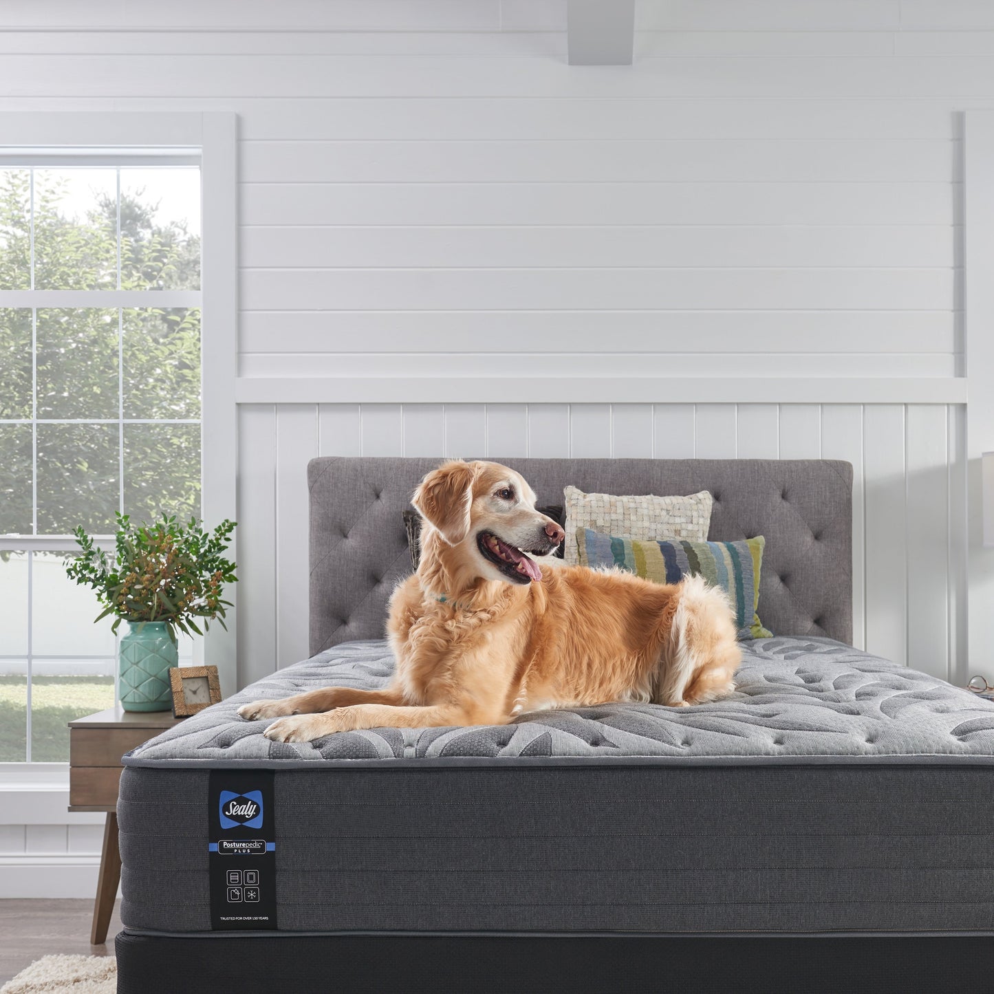 Materasso a molle Sealy Posturepedic Plus Stamford da 13 pollici