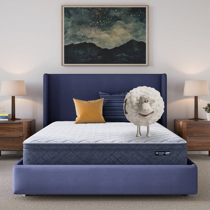 Materasso Serta Five Star Sleep to Go 10 Plush Pillow Top in una scatola