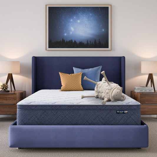 Materasso Serta Five Star Sleep to Go 12 Plush Pillow Top in una scatola