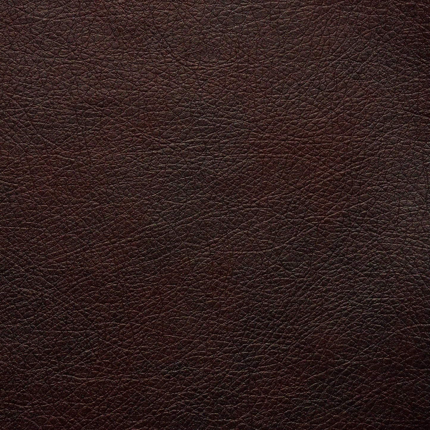 Divano Serta Palisades 73 Track Arm, in poliestere di facile manutenzione, con schienale morbido e cuscini di seduta a molle insacchettate.