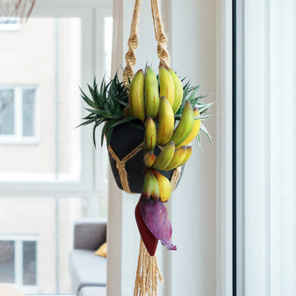 Set di 2 pezzi decorativi di frutta artificiale a forma di banana, 11 pollici - 11 L x 4 W x 4,5 DP