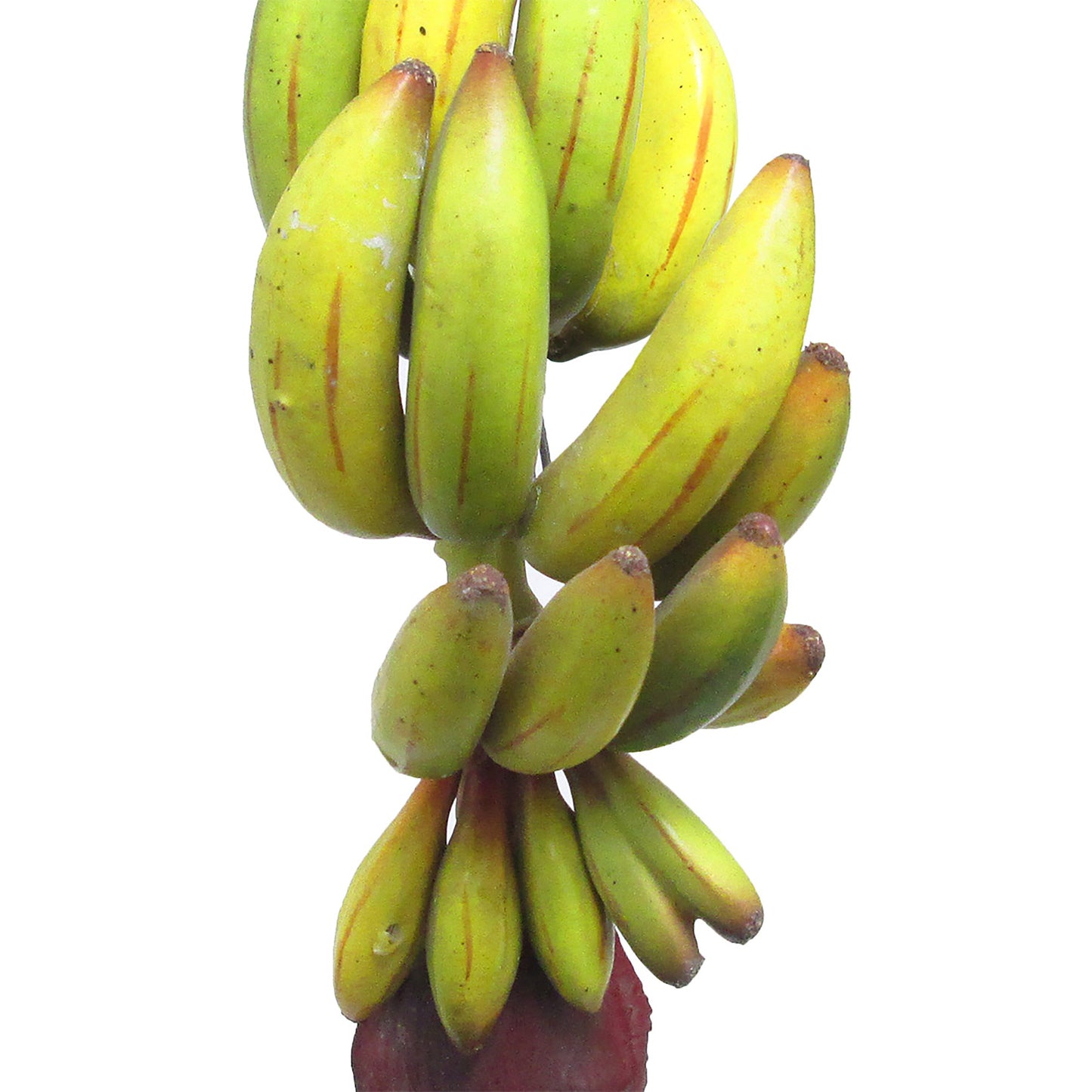 Set di 2 pezzi decorativi di frutta artificiale a forma di banana, 11 pollici - 11 L x 4 W x 4,5 DP