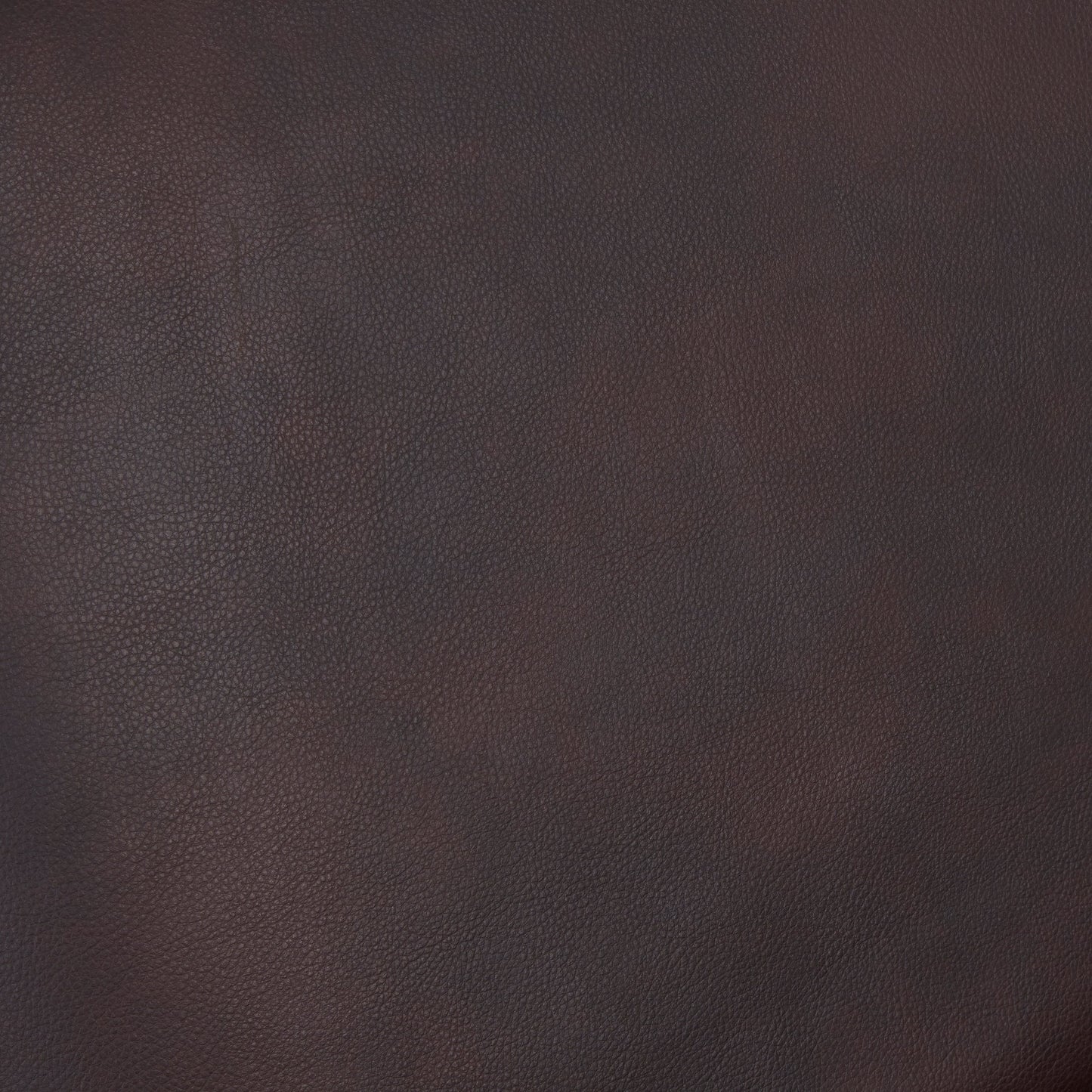 Poltrona reclinabile imbottita in legno con schienale reclinabile Sienna di Greyson Living