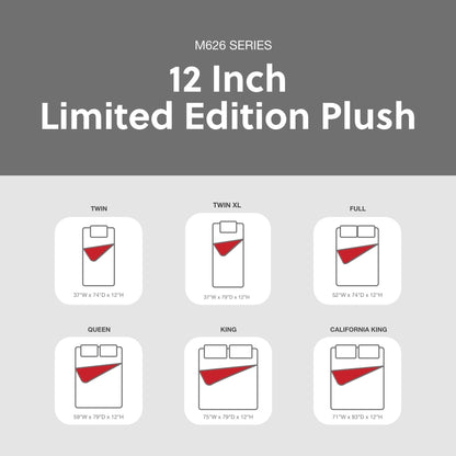 Materasso Signature Design by Ashley Limited Edition in peluche nero e grigio da 12 pollici