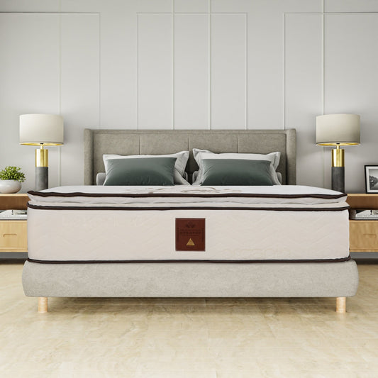 Materasso ortopedico Spectra da 14 pollici con superficie trapuntata in peluche