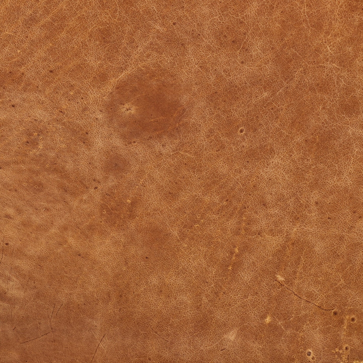 Divano Poly &amp; Bark Napa 72 Apartment - Vera pelle italiana pieno fiore