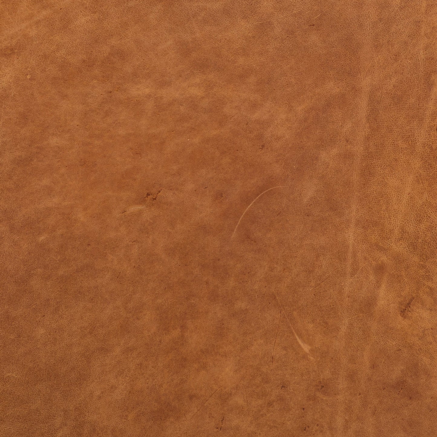 Divano Poly &amp; Bark Essex 89 - Vera pelle italiana pieno fiore