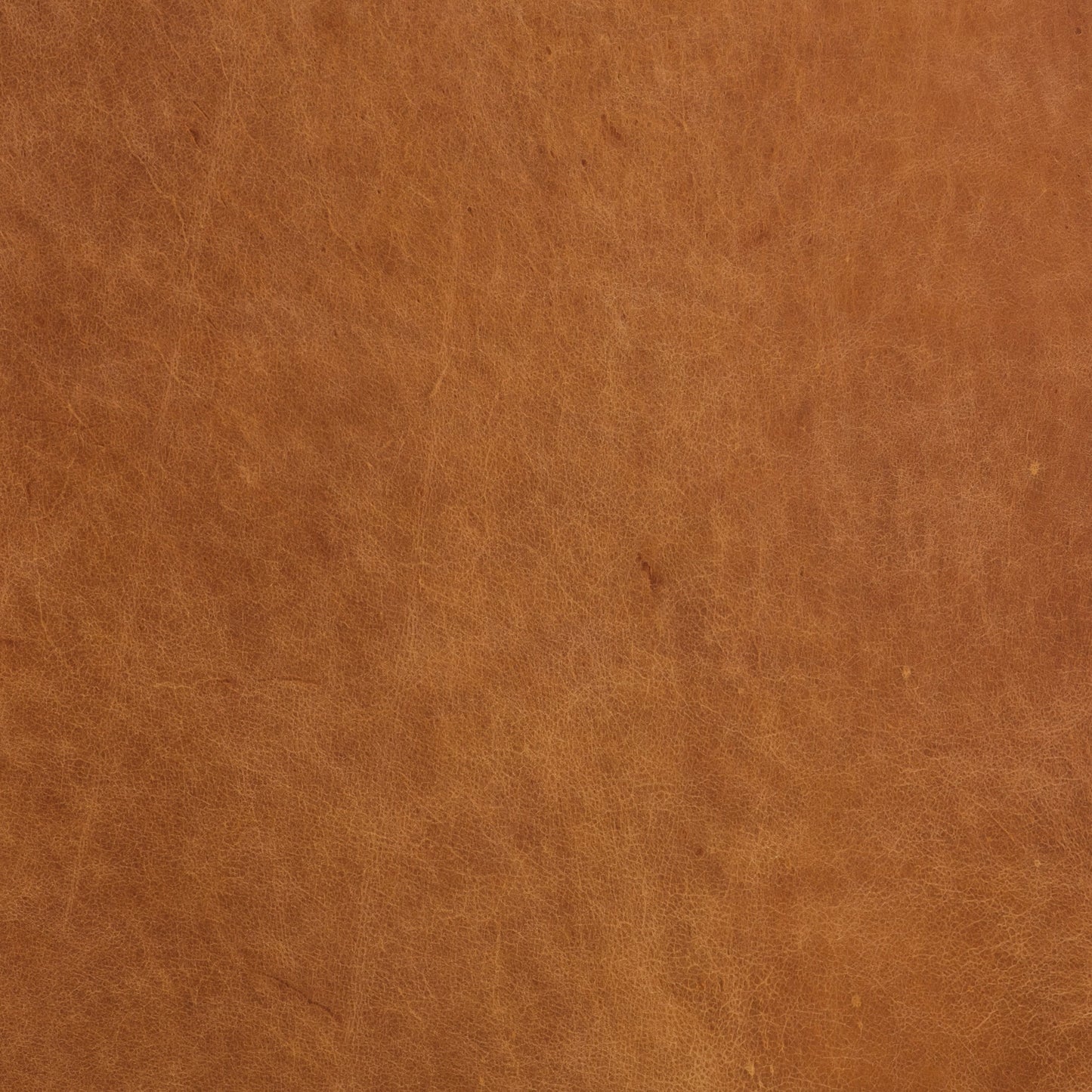 Divano Poly &amp; Bark Essex 89 - Vera pelle italiana pieno fiore