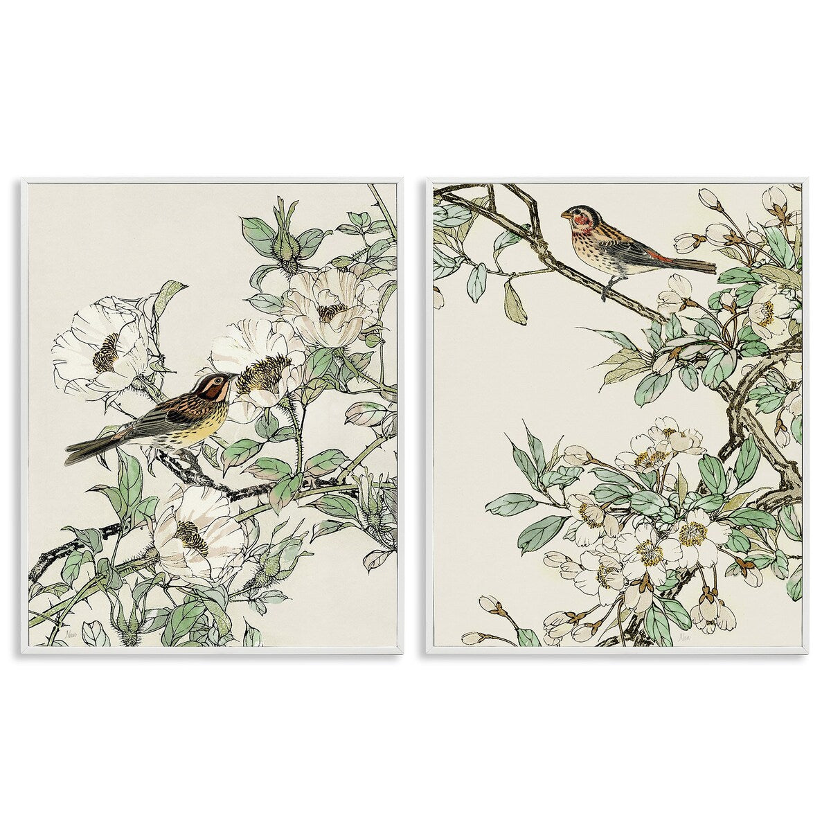 Stupell Classic Sparrow on Blossoms, set di 2 pezzi con cornice Giclée, design di Nan